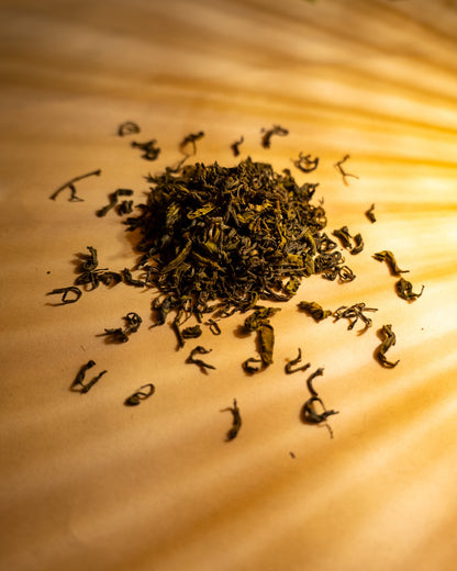A scattered pile of dried green tea leaves on a warm orange-brown surface. Rays of light fall onto the pile from the right side.