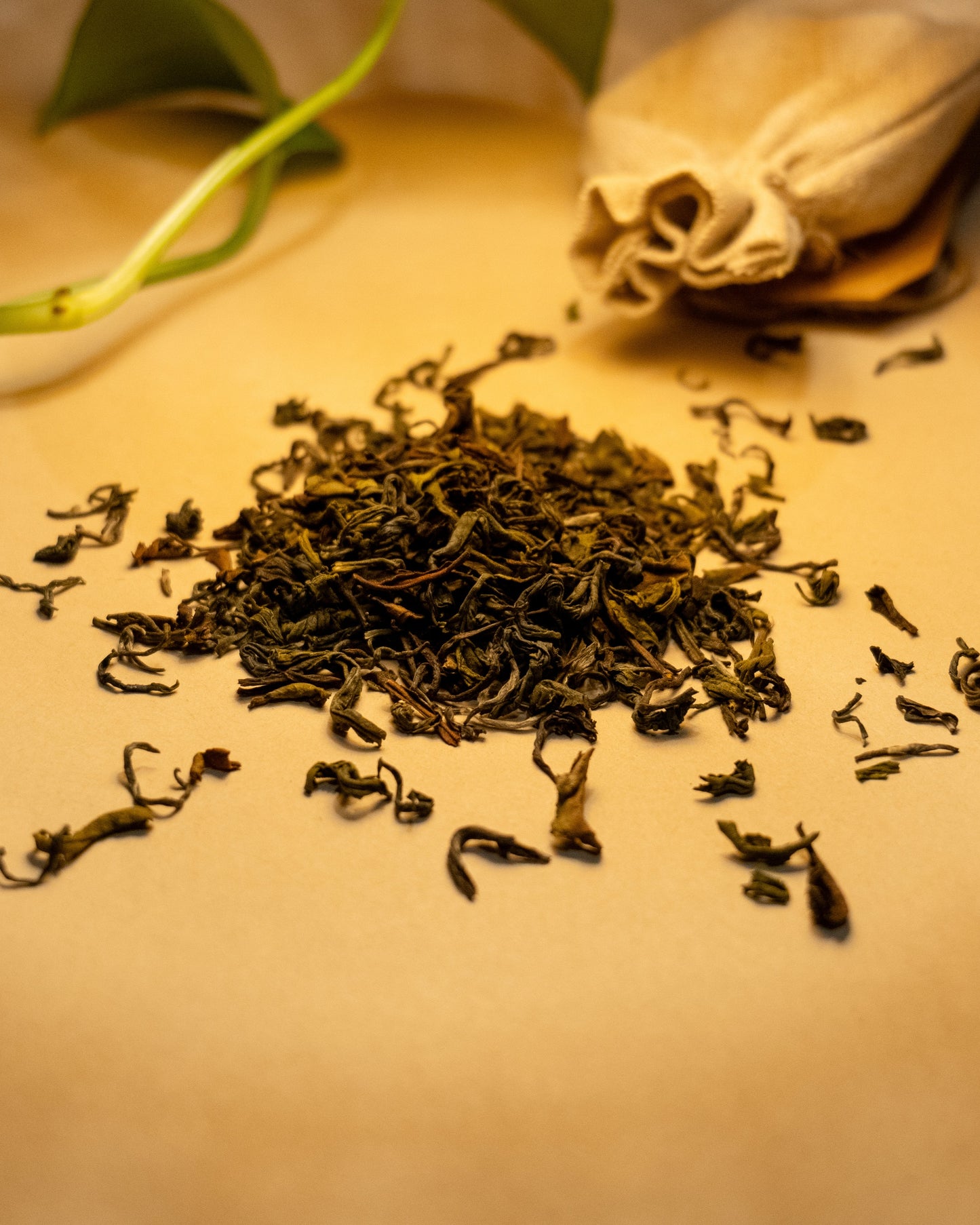 Organic Darjeeling Green Tea